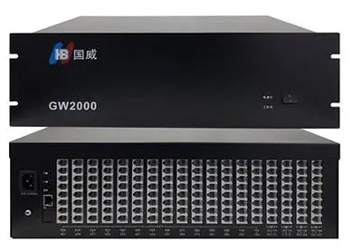 Gw2000